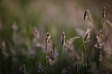 专家预测《魔兽世界》国服玩家数将缩水九成？